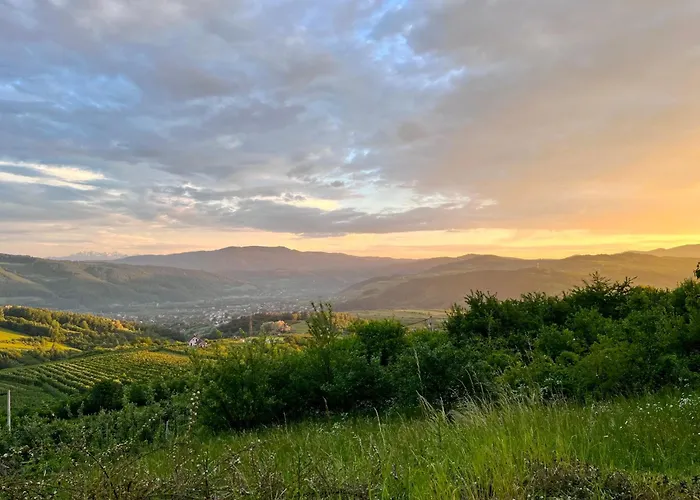 Nad Sadem Domek alpejski Lacko (Nowy Sacz)